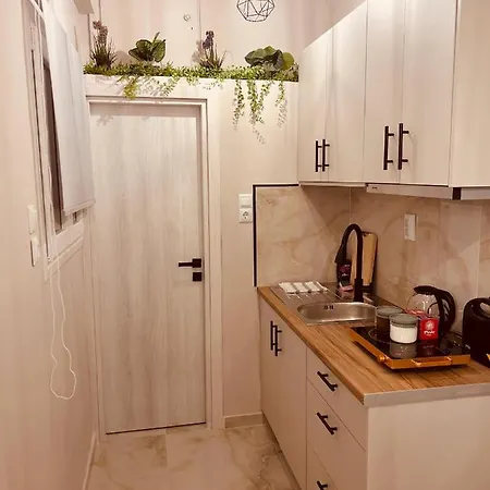 Apartment Cactus Luxury Suite2 *